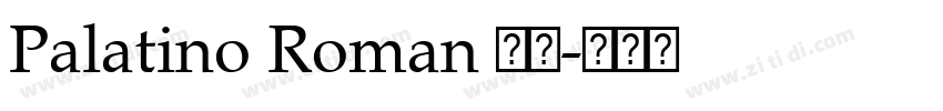 Palatino Roman 常规字体转换
